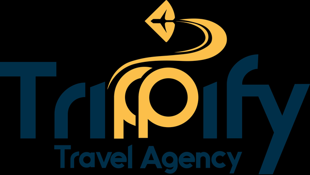 Trippify Travel Agency